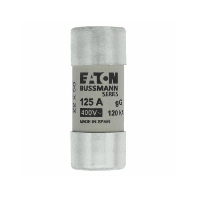 Industrial Cylindical Fuse gG 22,2X58 125A C22G125