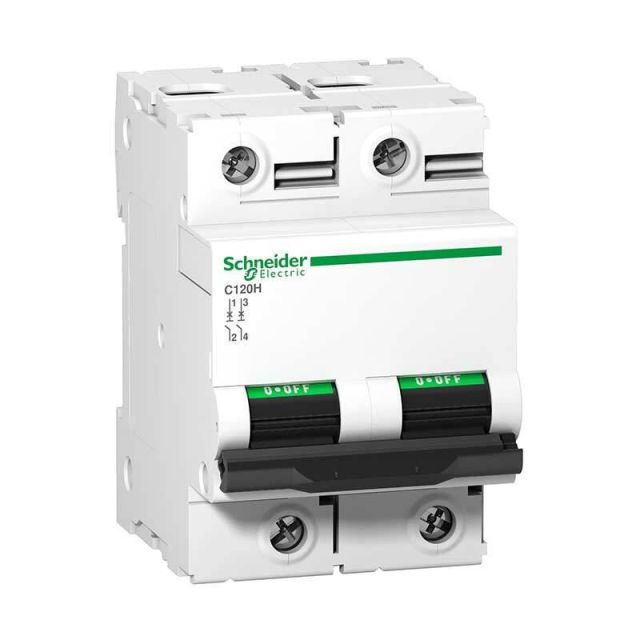 Miniature Circuit Breaker C120H 2-Poles 125A C A9N18459