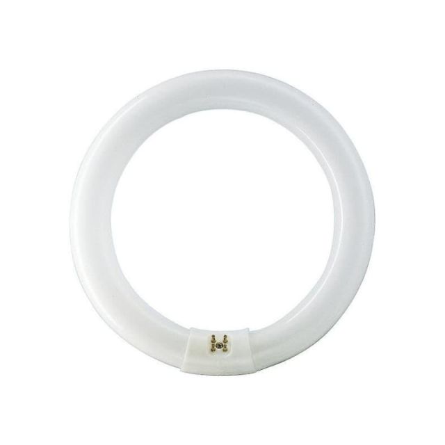 Circular Fluorescent Lamp L32W/865 6500K 2000lm 4008321581167
