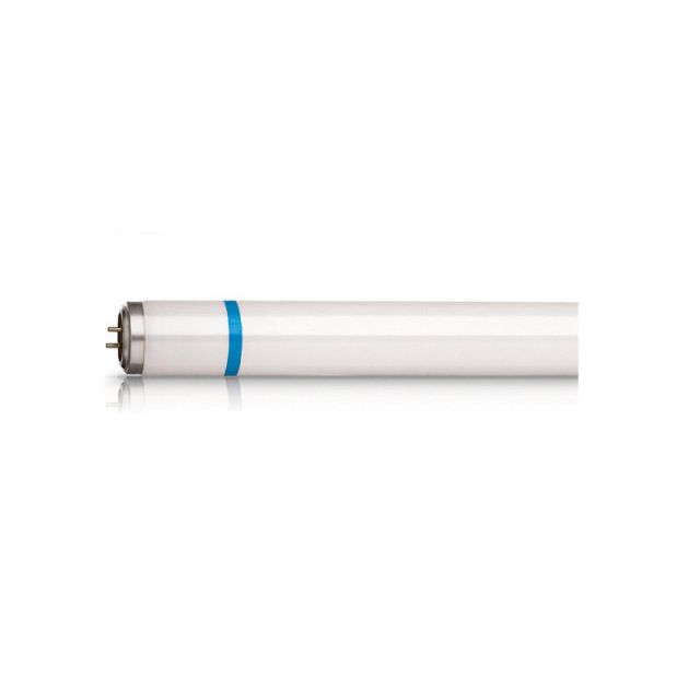 Fluorescent Lamp Actinic BL TL-D(K) 8W/10 928048201003