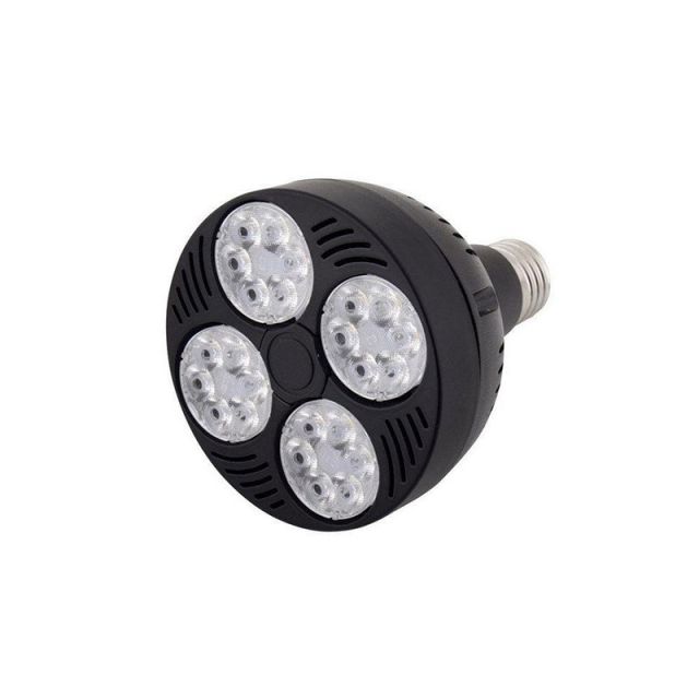 Bulb LED PAR 30 E27 20W 2700K 2.097.010