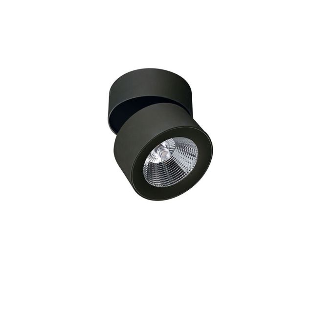Spot Light Black Moris 4208301