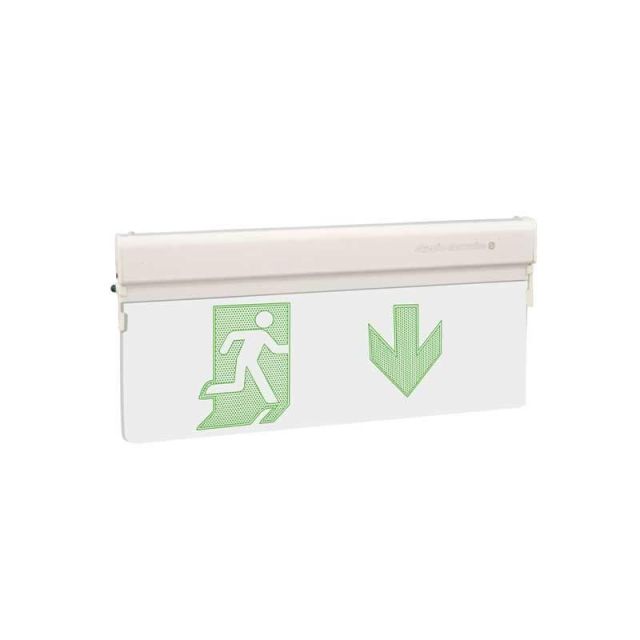 Saftey Signal LED Light MLD-28S/G Μaintained Operation 922502800