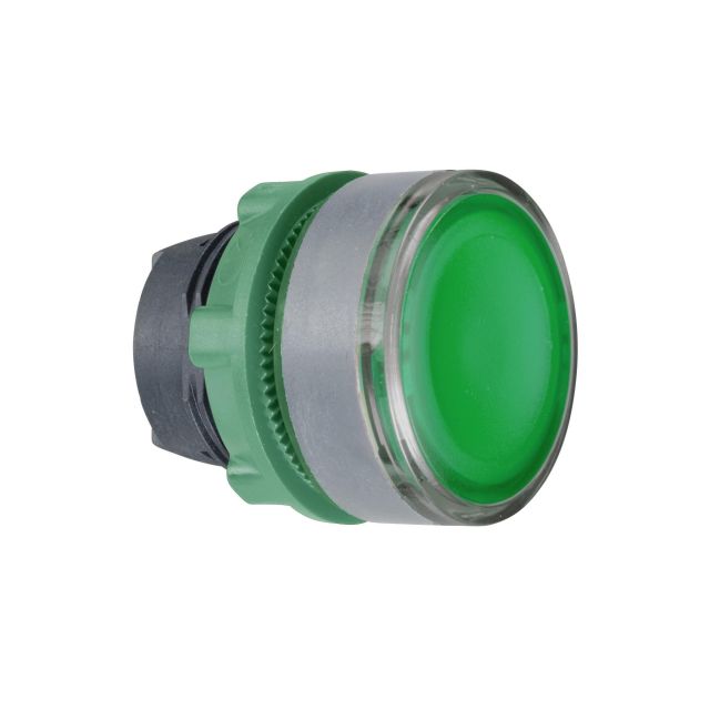 Button Head Green With Green Button Harmony ZB5AW333C0
