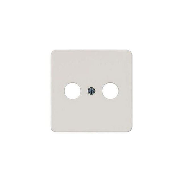 Delta Antenna Socket Plate Silver 5TG1776