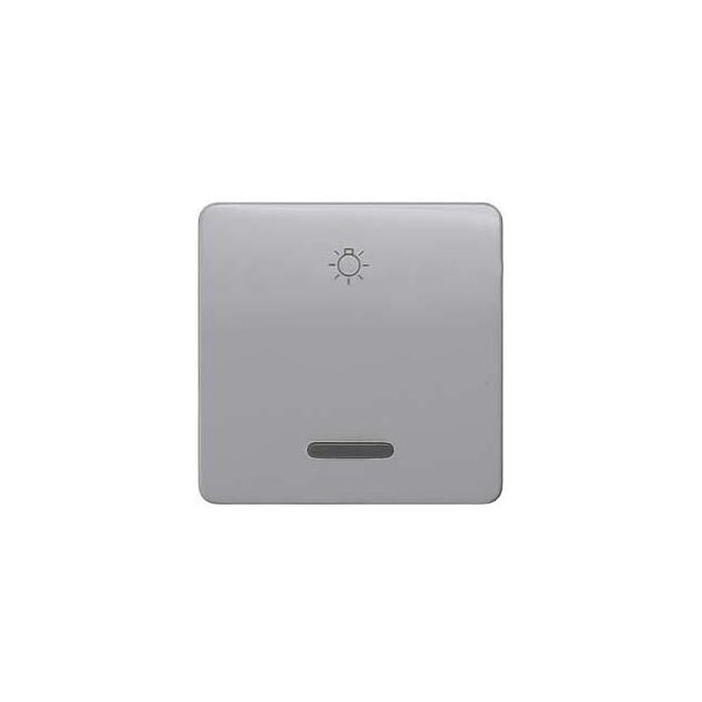 Switch Plate with Light Symbol Silver 5TG7926