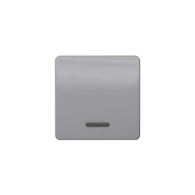 Switch Plate with Window Silver 5TG7920