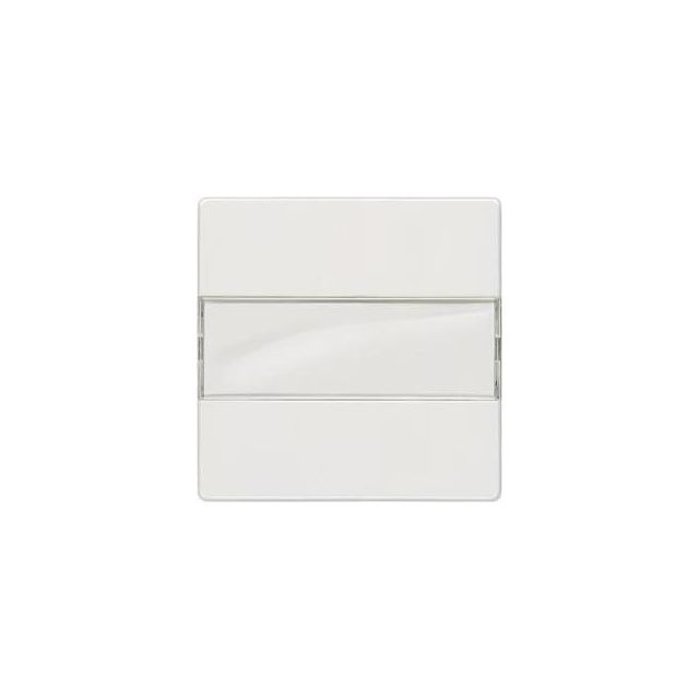 Switch Plate with Label White 5TG6210