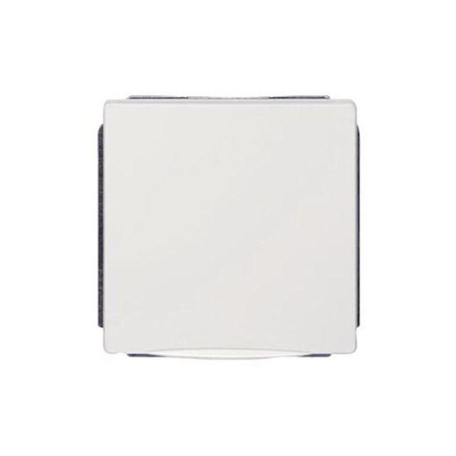 Delta 2P+E Socket with Lid Titanium White 5UB1852