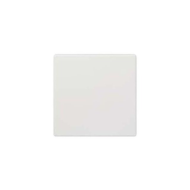 Delta Switch Plate White 5TG7141