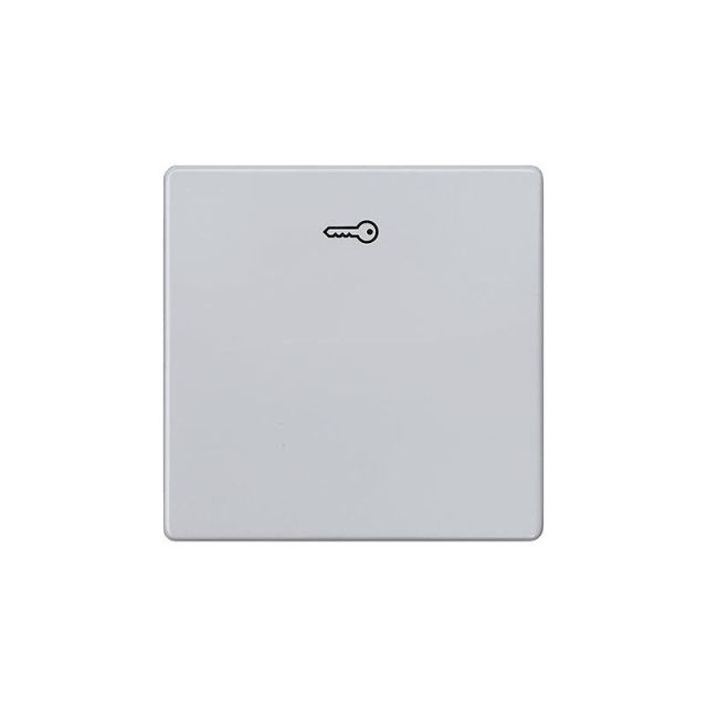 Delta Πλακίδιο Διακόπτη με Σύμβολο Κλειδί Αλουμίνιο 5TG6248