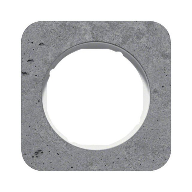 Berker R.1 Frame 1 Gang Concrete Gray 10112379
