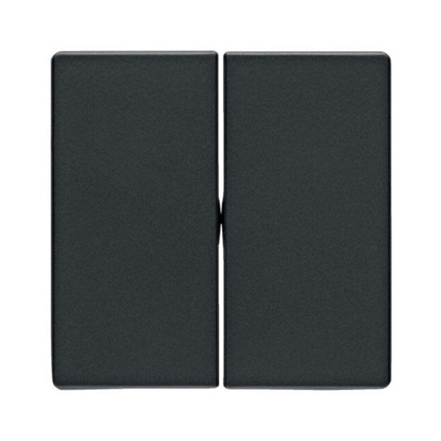 Berker Q.1 Plate 2 Gangs Black Grey 16236086