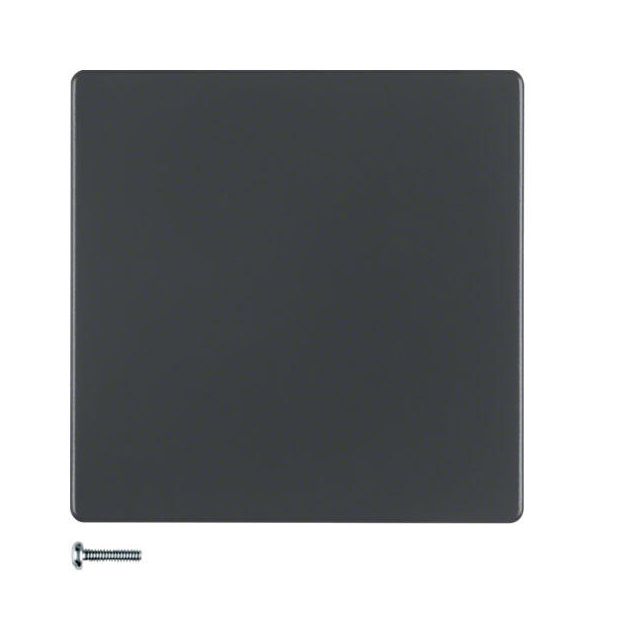 Berker Q.1 Switch Plate Led Anthracite 85141126
