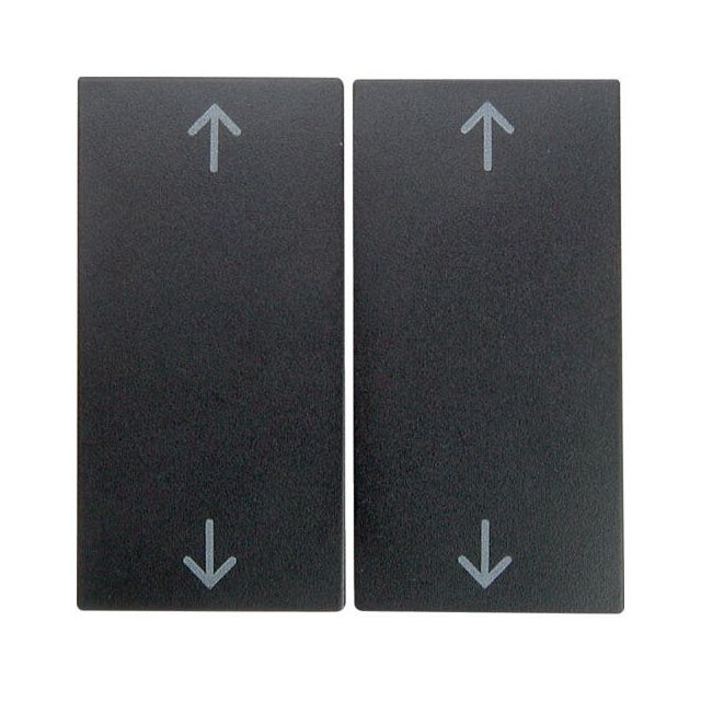 Berker R.Classic Blinds Switch 2 Gangs Plate Black Grey 16441606