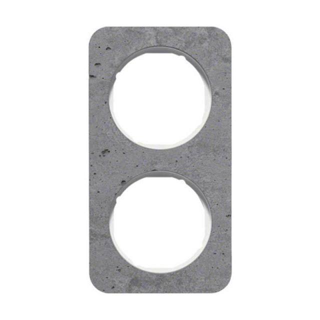 Berker R.1 Frame 2 Gangs Concrete Gray 10122379