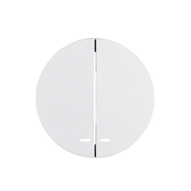 Berker R.1/R.3 Plate K-R Lighting White 16272089