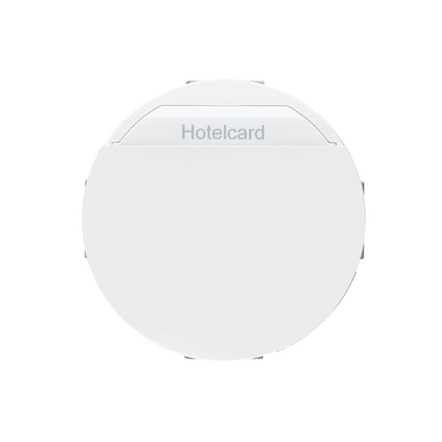 Berker R.Classic Cardswitch with Time-Delay White 16402079