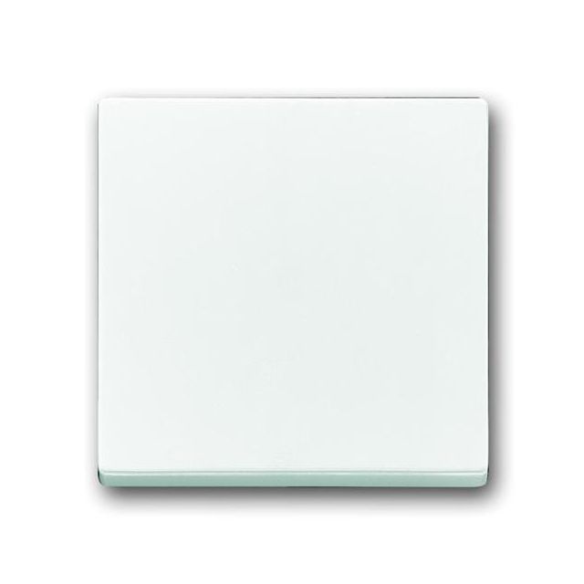 A/R Switch Plate White 1786-84 20172