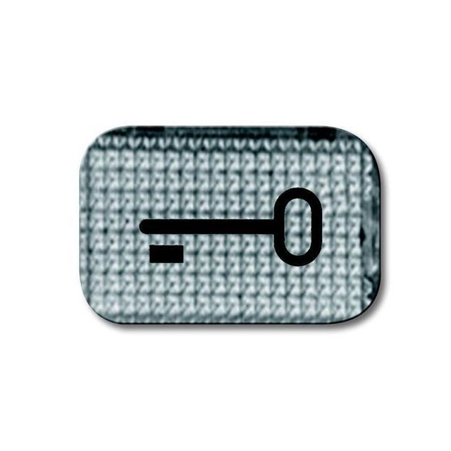 Basic55 Key Symbol Transparent 2145TR 10164