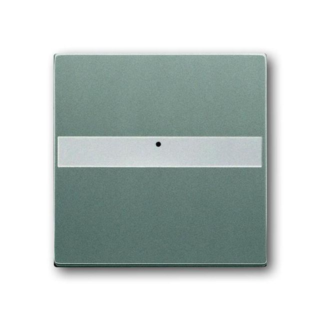 Πλακίδιο Μπουτόν Κουδουνιού με Επιγραφή Γκρι 1764 NLI-803 40915