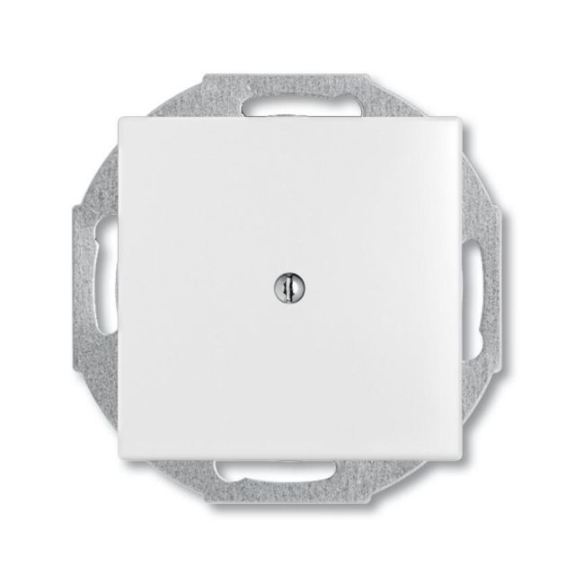 Basic55 Blank Plate White 2538-94 47613