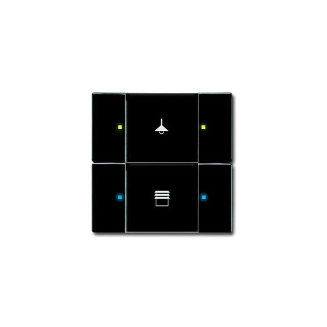 Button Multifunctional KNX 2/4F Black 6126/02-81-500 80190