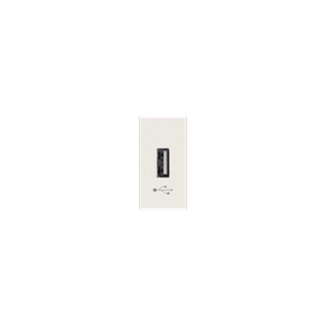 Chiara Socket USB 1 Module White 79687