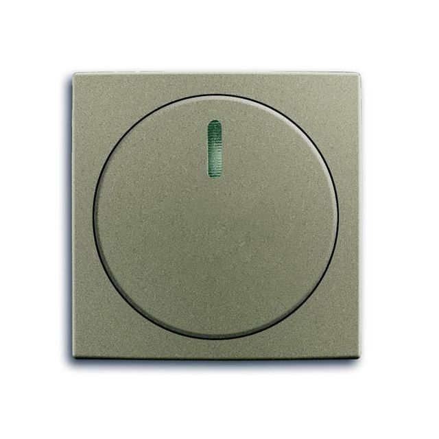 Basic55 Dimmer Plate Champagne 2115-93 49831