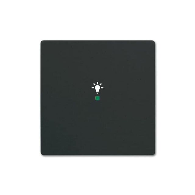 Basic 55 1 Gang Plate with Light Symbol Black Soft Touch SRL-1-885 80354