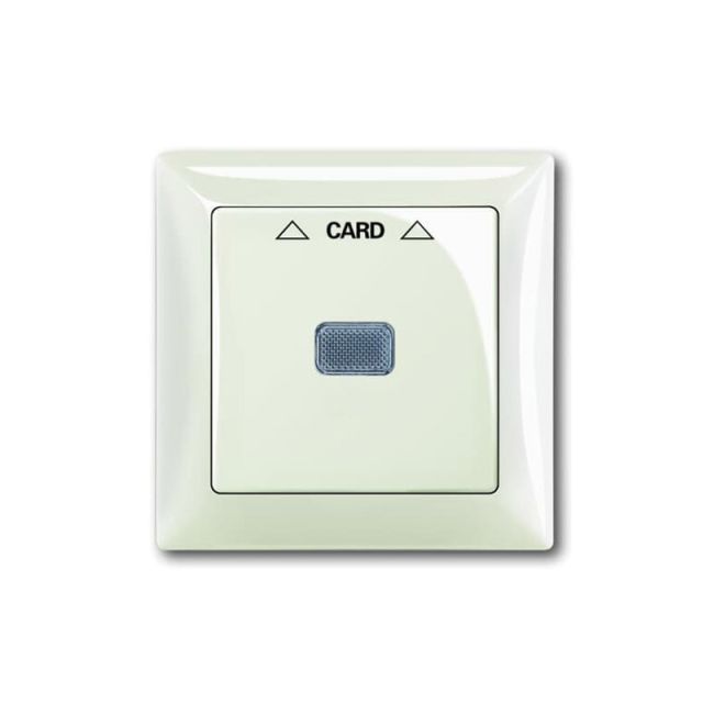 Basic55 Plate Card Switch Sugar 1792-96 49870