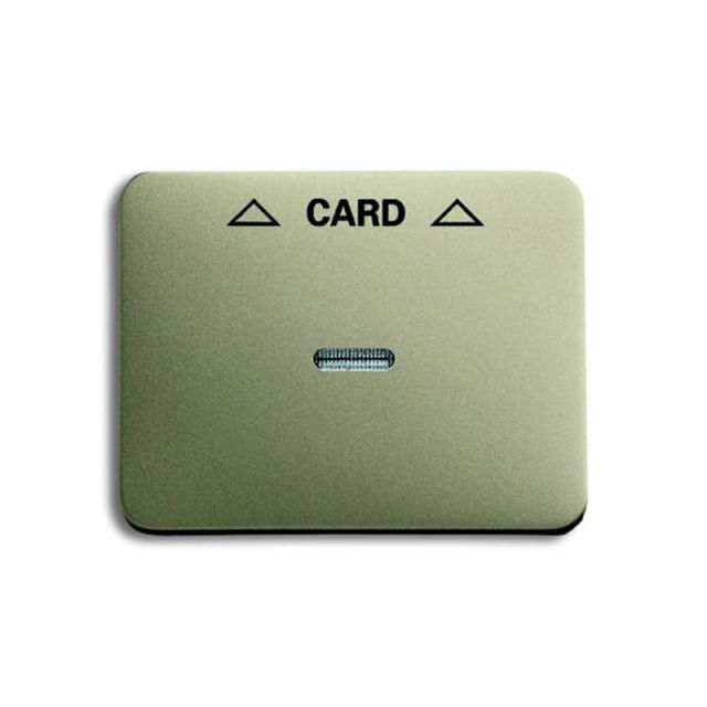 Alpha Plate Card Switch Palladium 1792-260-101 19766