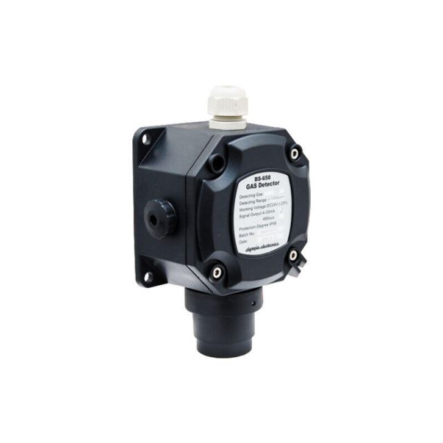 Carbon monoxide CΟ Detector BS-658 980165800