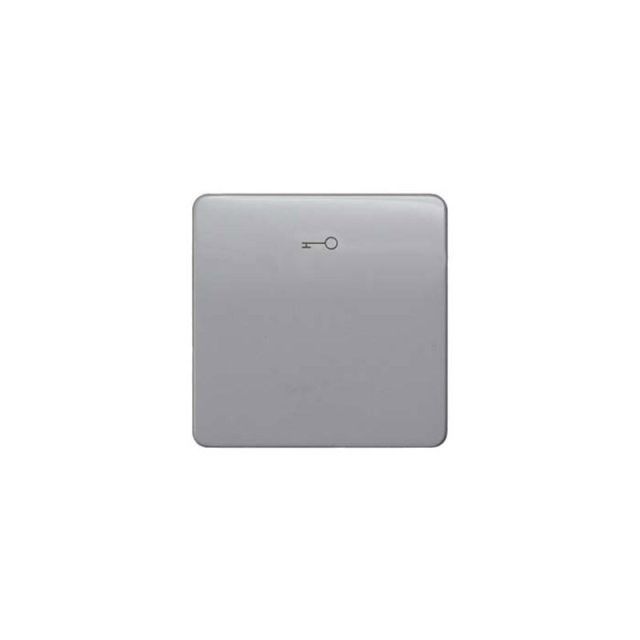 Delta Plate with Key Symbol Silver 5TG7928