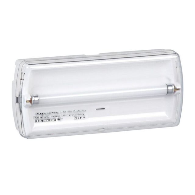 Emergency Light 6W 100lm U21N 661702