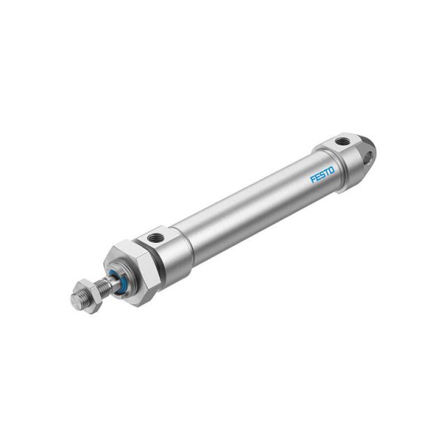 Κύλινδρος Standard CRDSNU-25-100-P-A 8152634