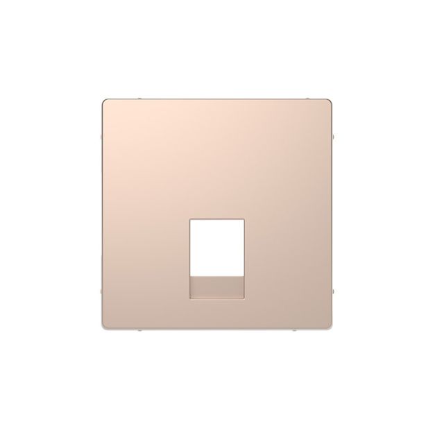 Merten D Plate RJ11-12 Champagne MTN4215-6051