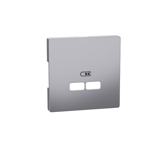 Merten D Plate 2xUSB Steel MTN4367-6036