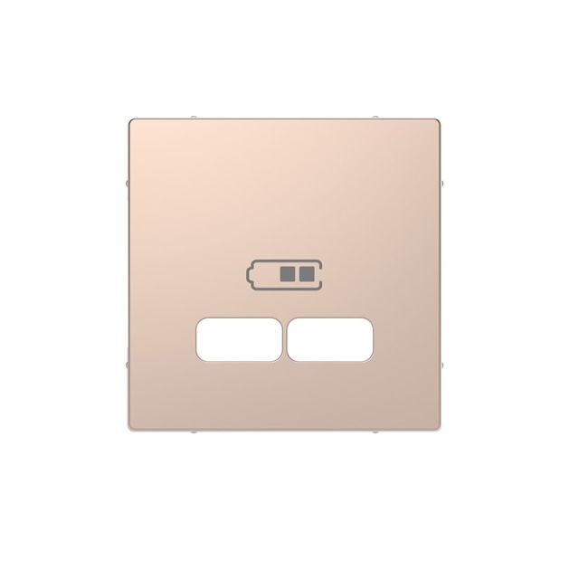 Merten D Plate 2xUSB Champagne MTN4367-6051