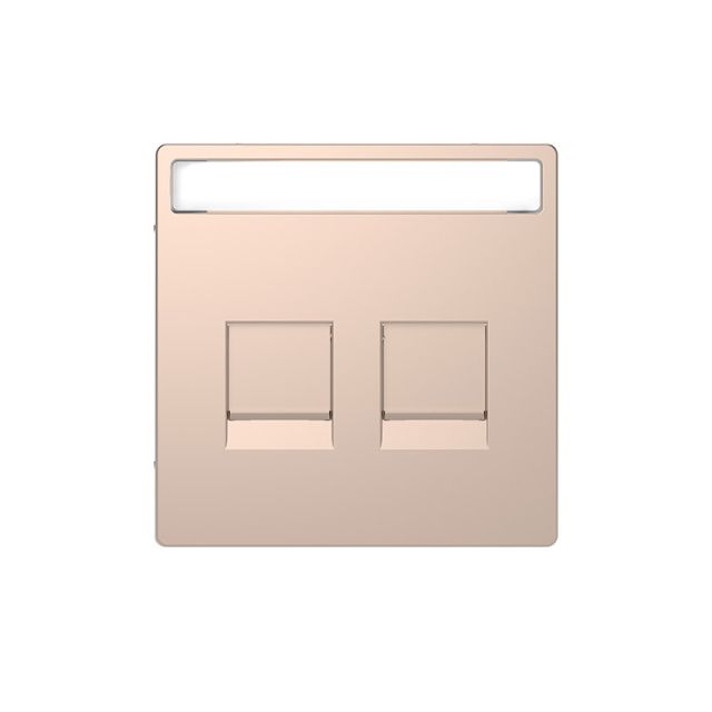 Merten D Plate 2xRJ45 Modular Champagne MTN4564-6051