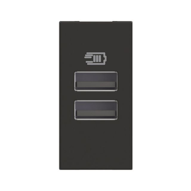 Classia USB Socket A+A Black RG4191AA